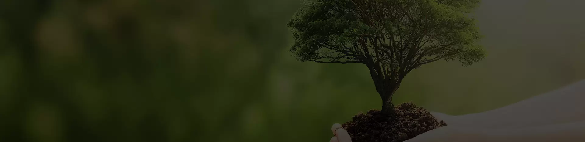csr-143050-1730790263